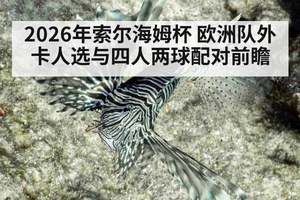 2026年索尔海姆杯 欧洲队外卡人选与四人两球配对前瞻