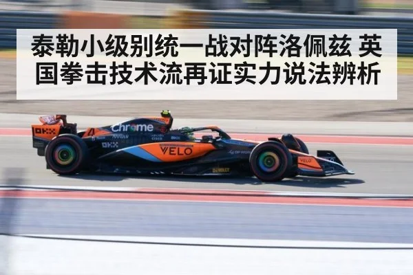 泰勒小级别统一战对阵洛佩兹 英国拳击技术流再证实力说法辨析